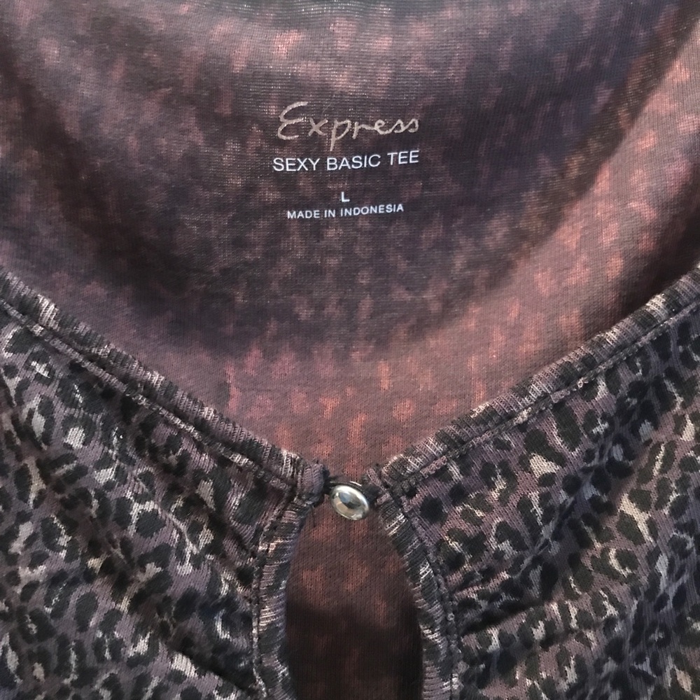 Express T - Picture 2 of 4